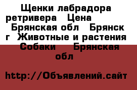 Щенки лабрадора ретривера › Цена ­ 10 000 - Брянская обл., Брянск г. Животные и растения » Собаки   . Брянская обл.